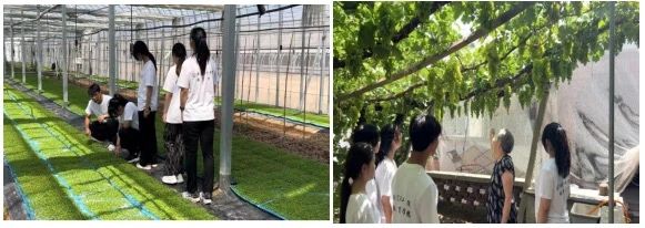 社会实践(九)|乡村振兴,青春先行——保定理工学院教育学院暑期“三下乡”社会实践活动