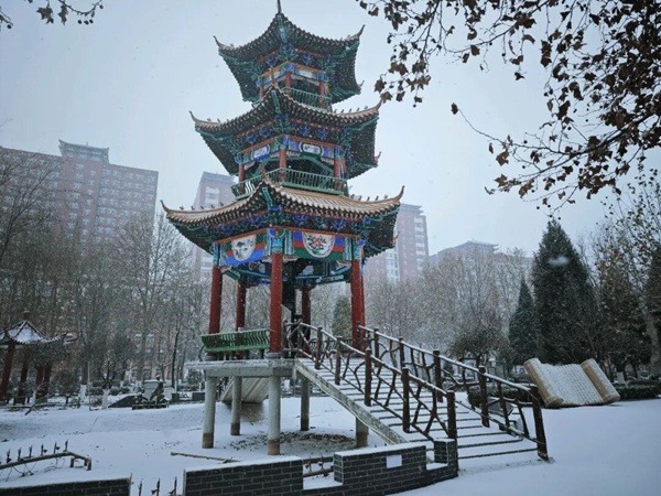 寒假限定！保理的初雪，把浪漫寄给返乡的你