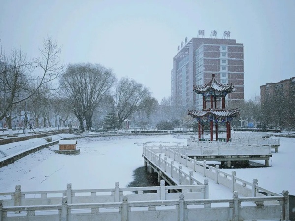 寒假限定！保理的初雪，把浪漫寄给返乡的你