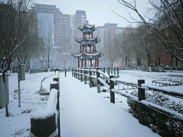 寒假限定！保理的初雪，把浪漫寄给返乡的你