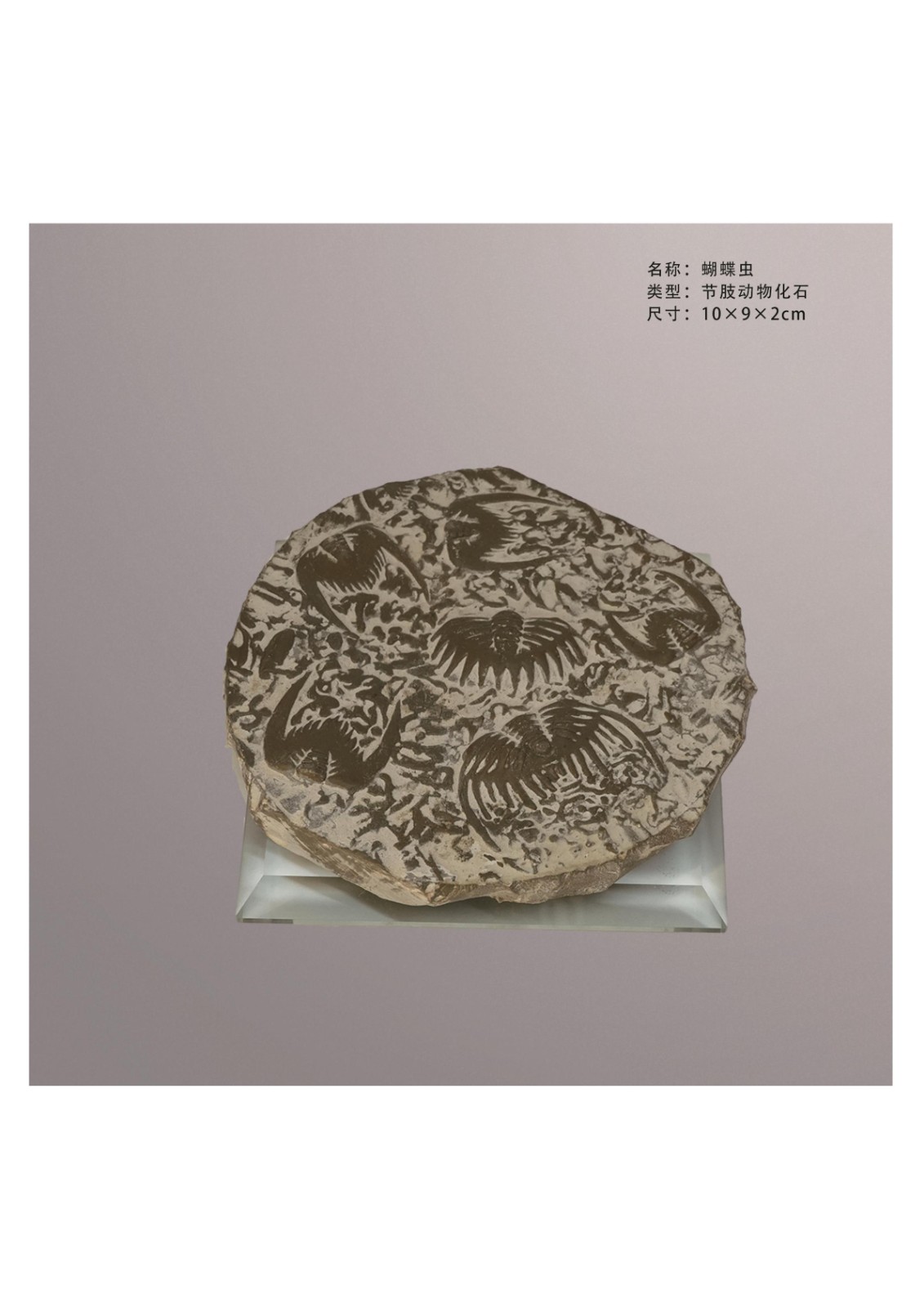 地质馆简介
