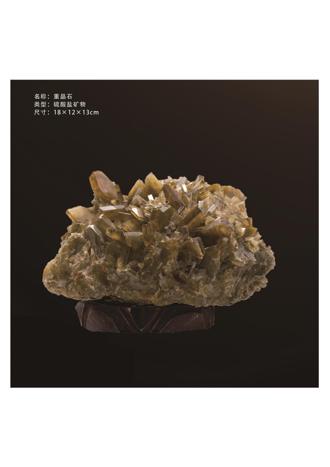 简介