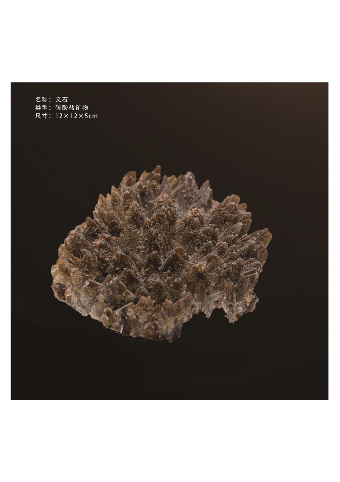 简介