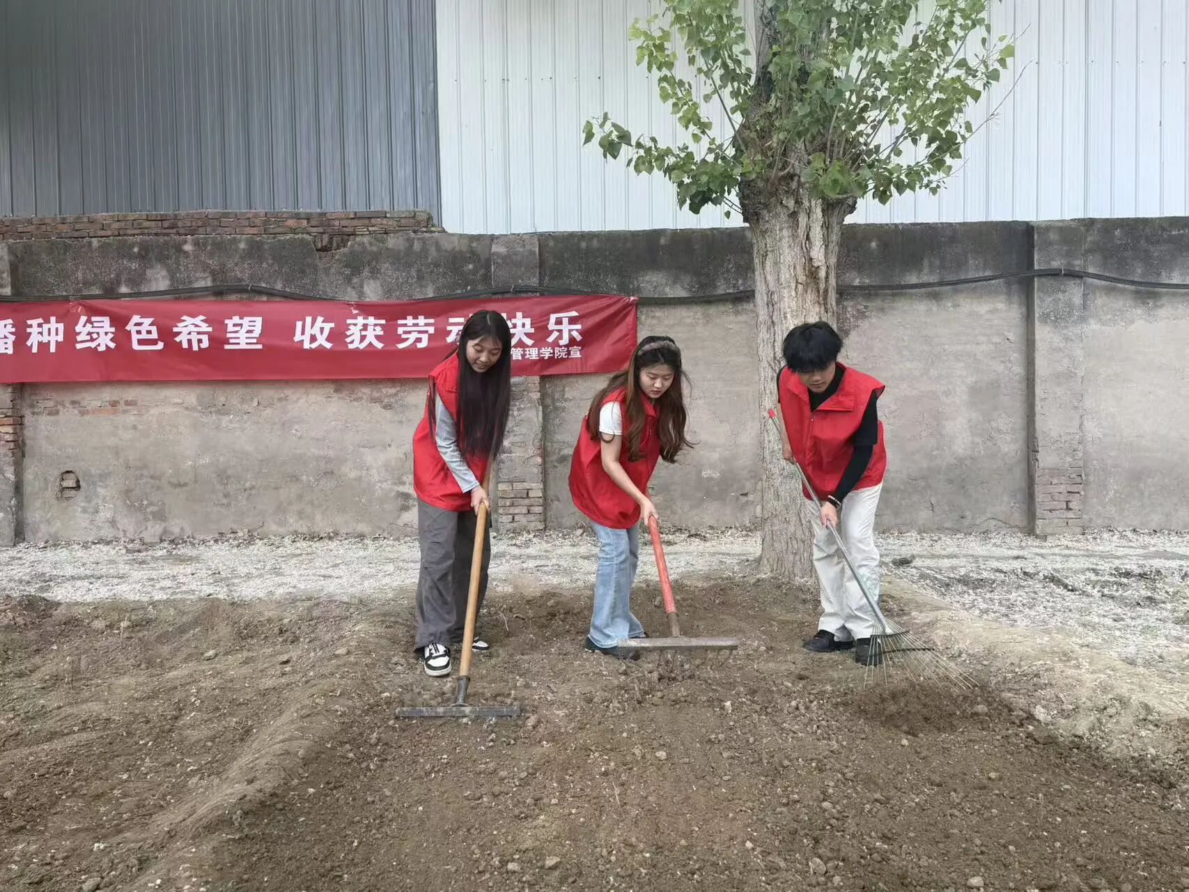 劳动铸魂践初心 体验赋能促成长——保定理工学院管理学院开展劳动教育月主题党日实践活动
