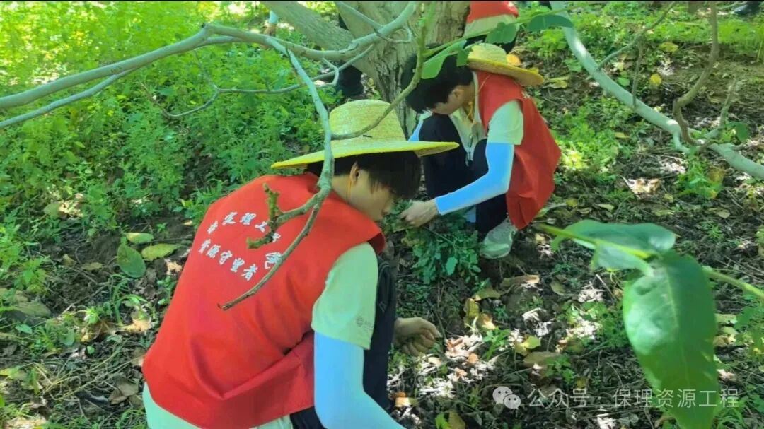 毕业典礼